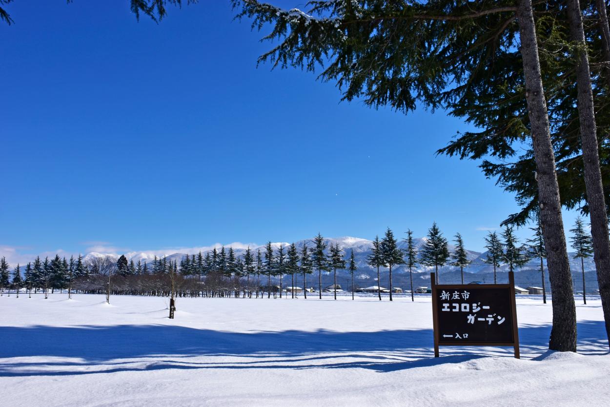 エコロジーガーデンの雪原の画像
