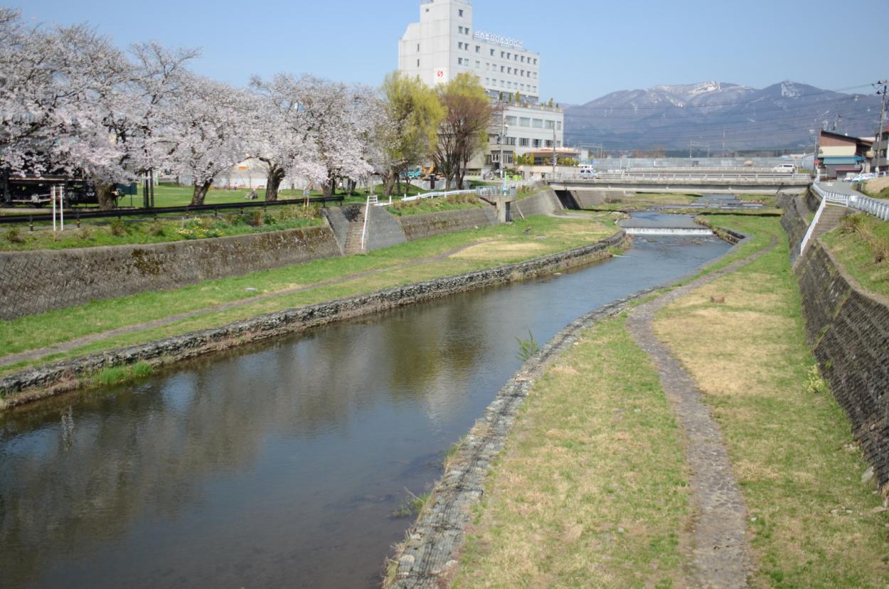 升形川と桜の画像
