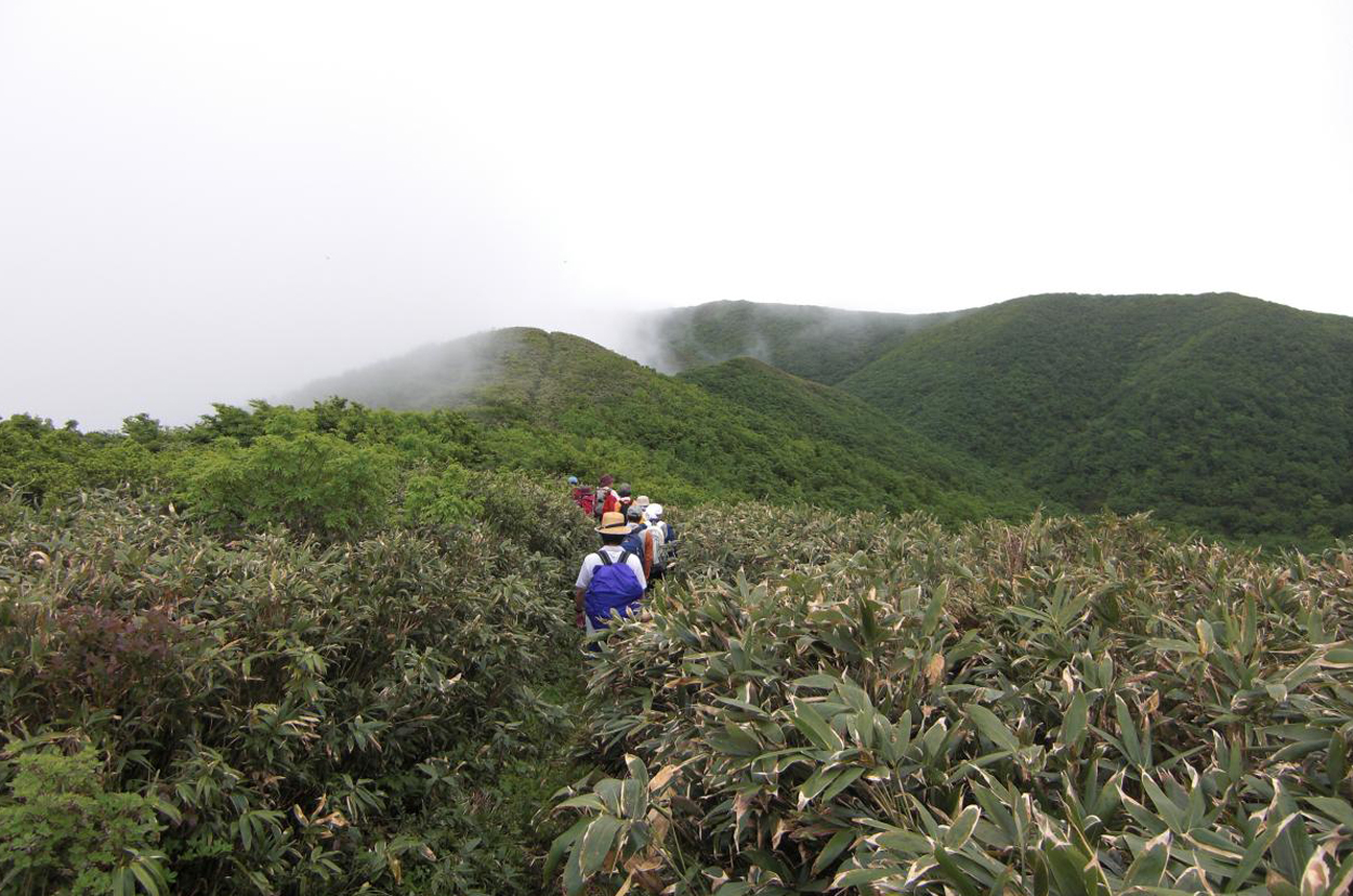 新緑の神室山登山の画像