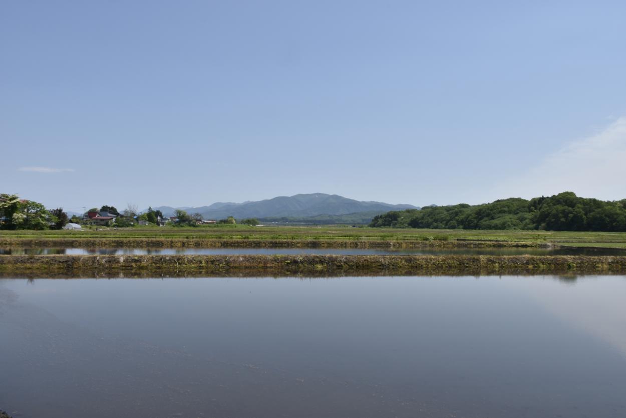 田園の海原の画像