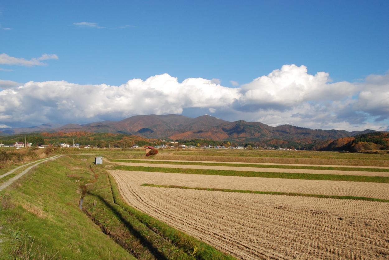 紅葉と収穫の秋の画像