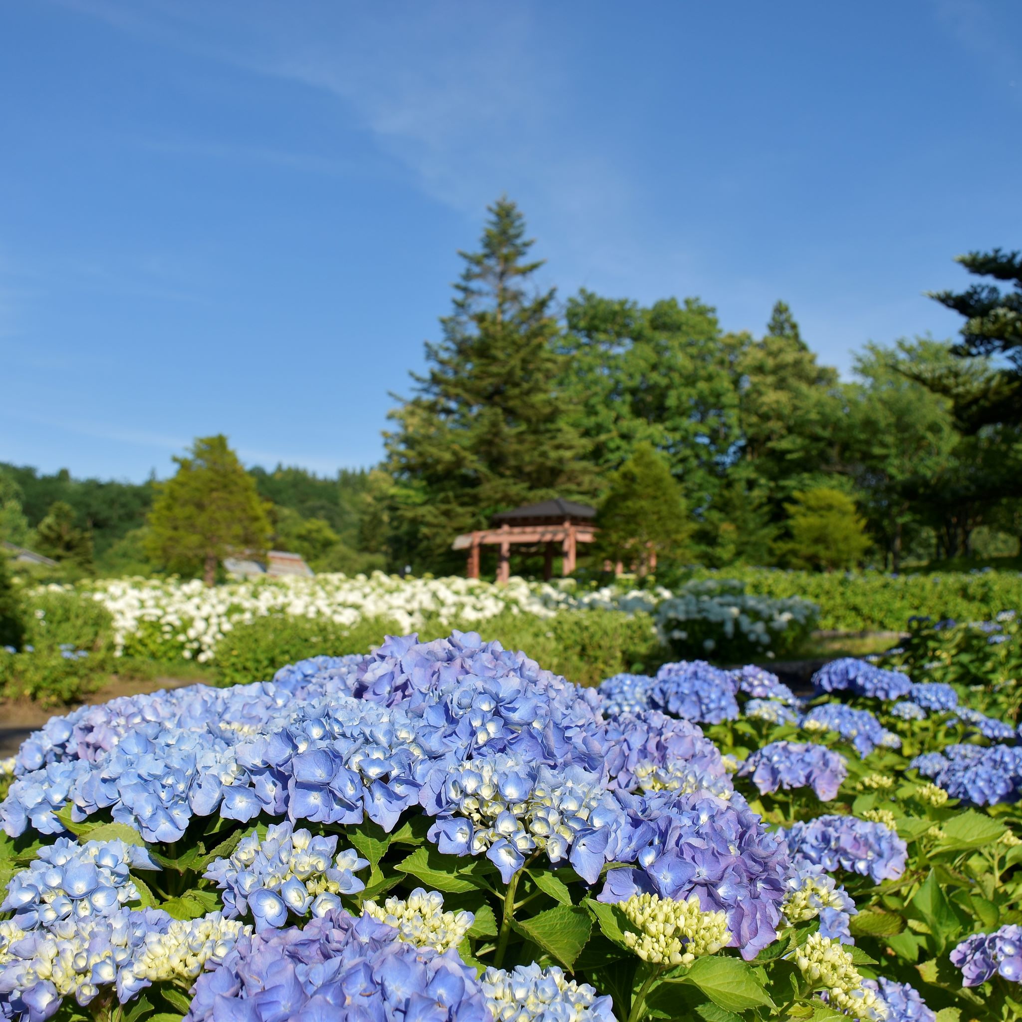 resize_DSC4965.jpg