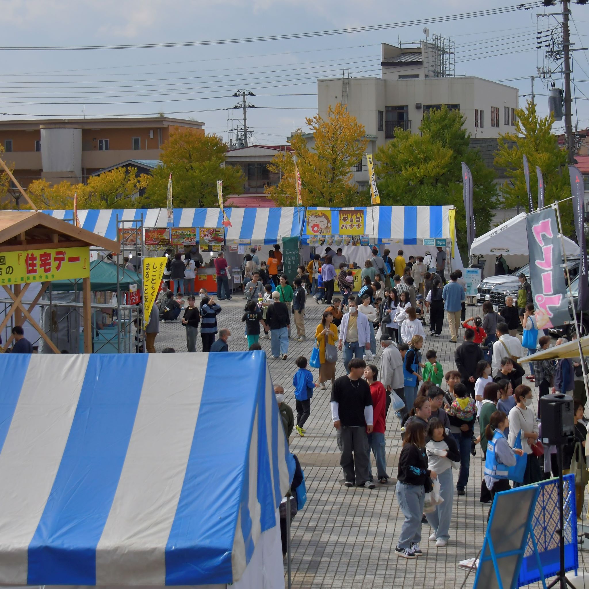 resize_DSC3293.jpg