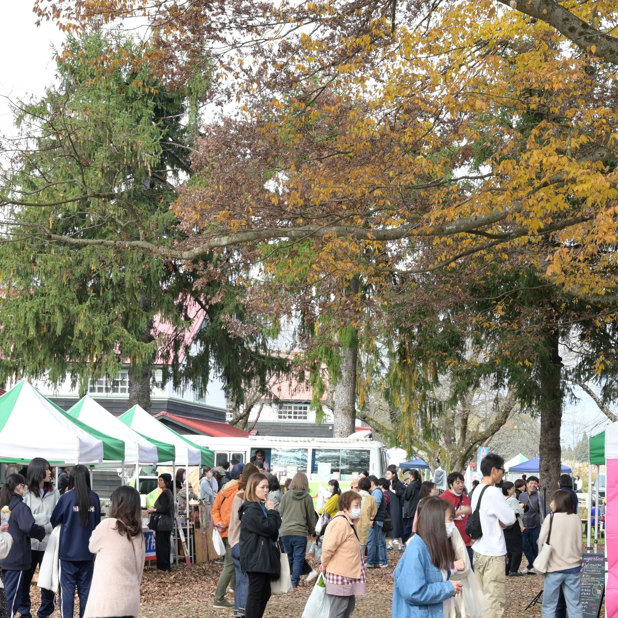 resize_DSC_9032.jpg