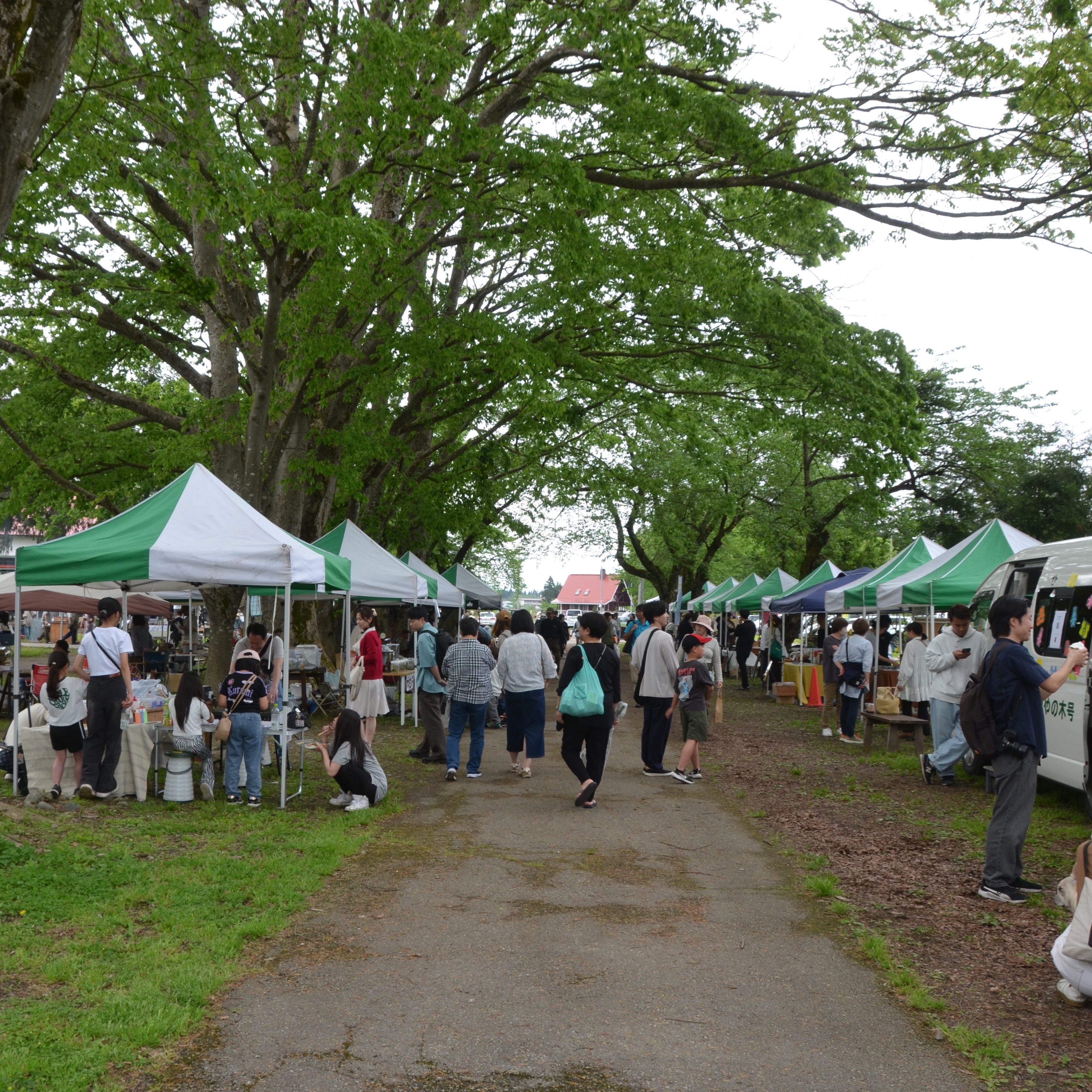 5.18kitokito.JPG
