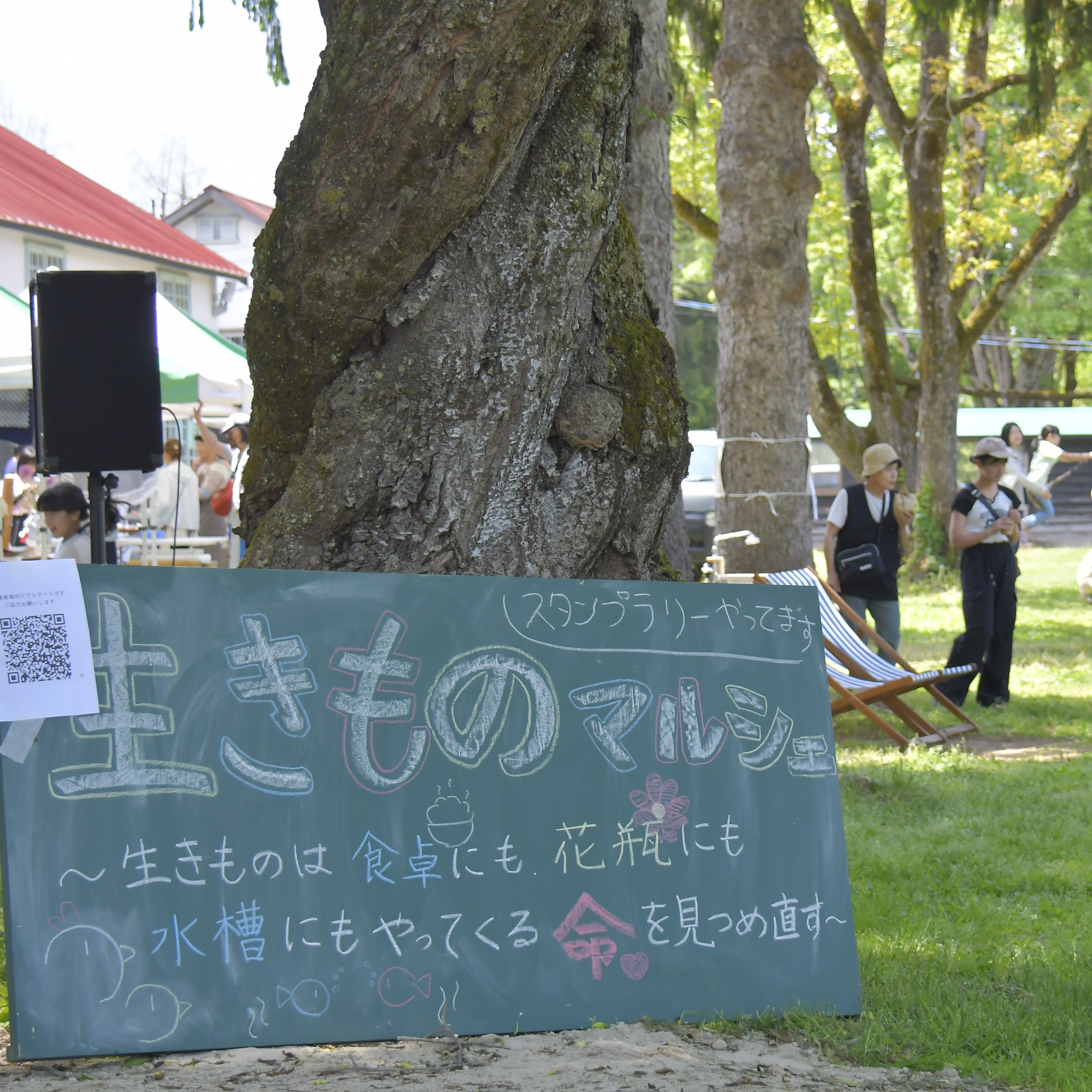 0517_kitokito__DSC9499.JPG