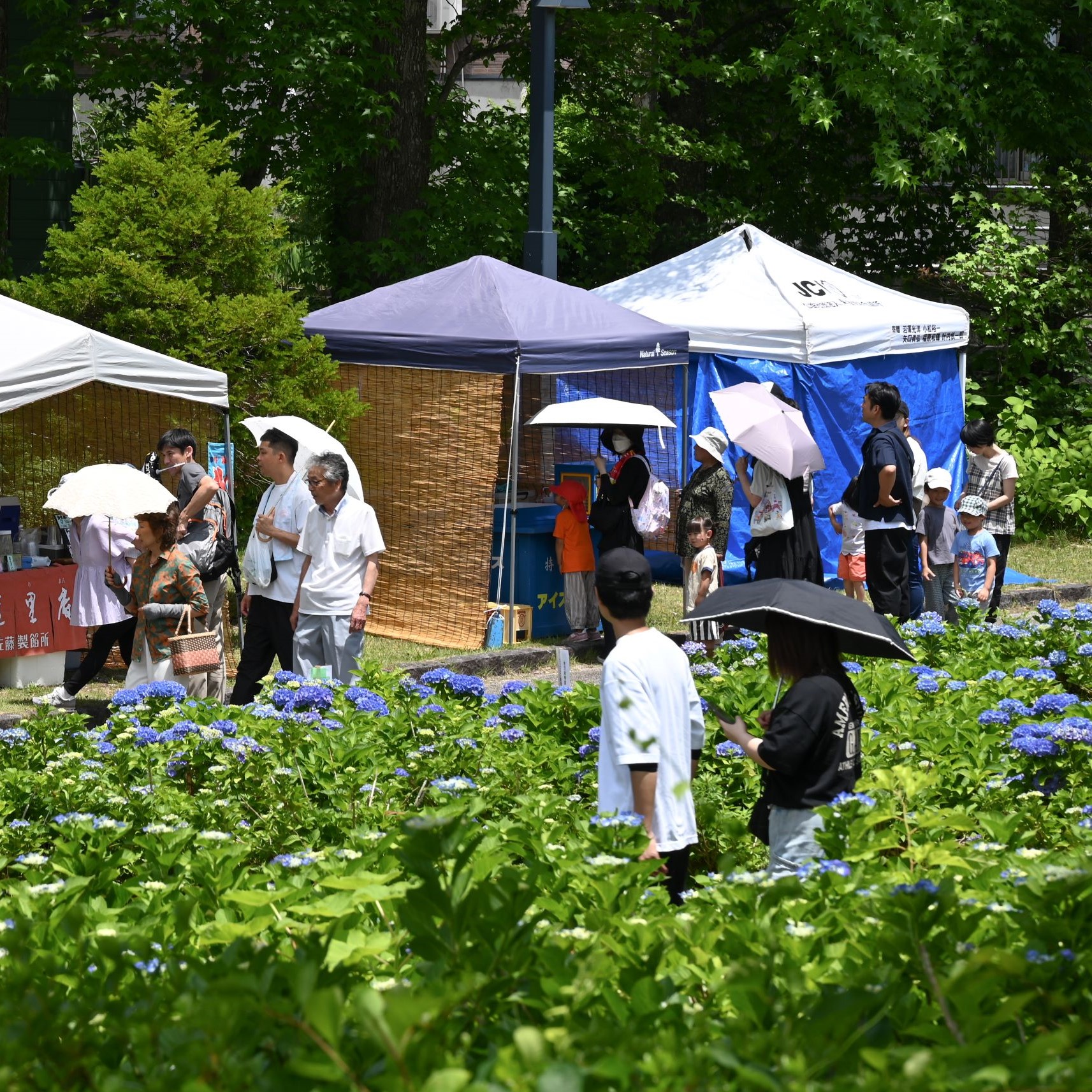 0628_azisaimaturiDSC_2415.jpg