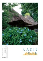 page 1 thumbnail