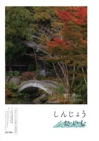 page 1 thumbnail