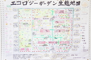 明倫中学校×青山学院大学黒石ゼミ「エコロジーガーデンワークショップ」