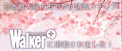 ウォーカープラスバナー画像.jpg