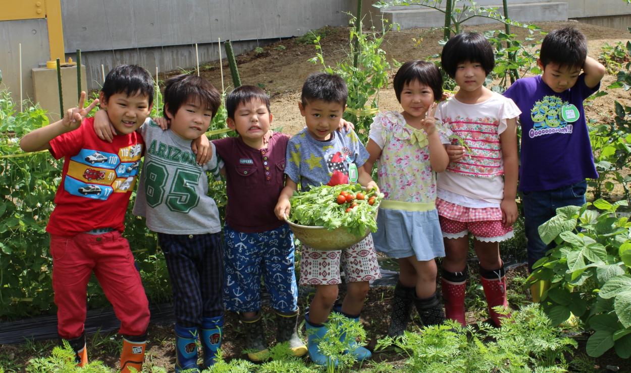 野菜収穫の画像の画像