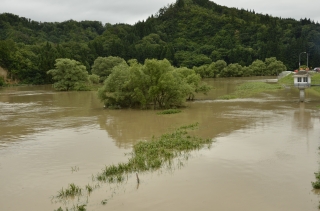 8.5最上川増水3の画像