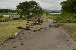 8.5泉田川流木被害現場の画像