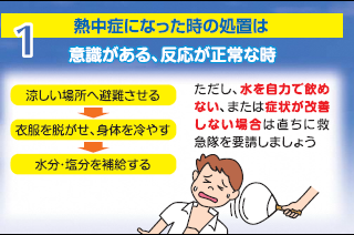 syochi1.png